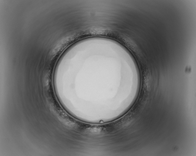 X0000112500687200909071245