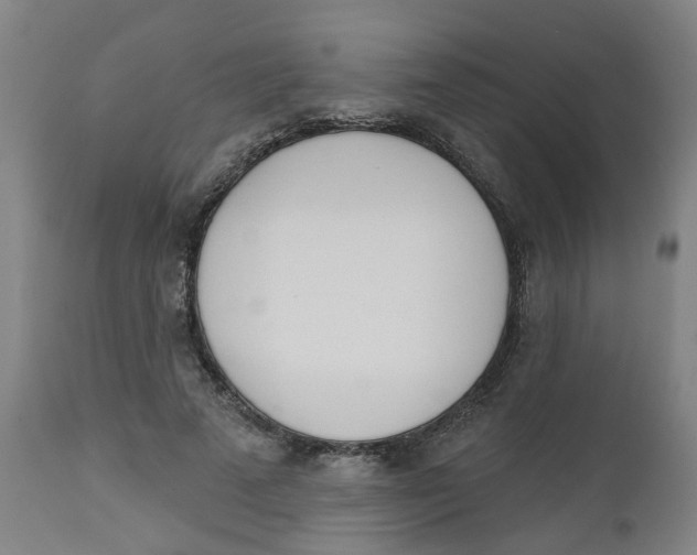 X0000112500689200909071245