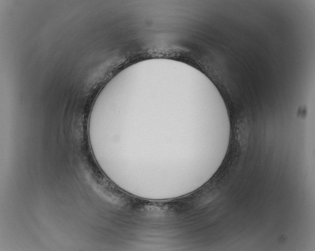 X0000112500690200909071245