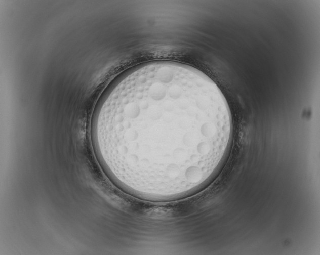 X0000112500691200909071245