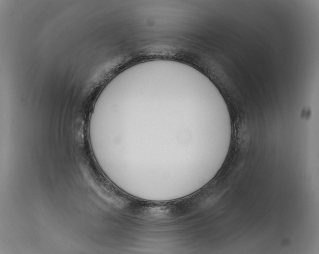 X0000112500692200909071245