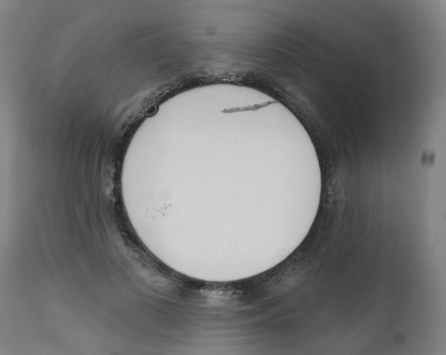 X0000112500693200909071245