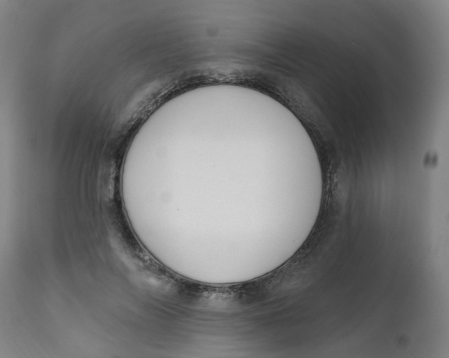 X0000112500694200909071245