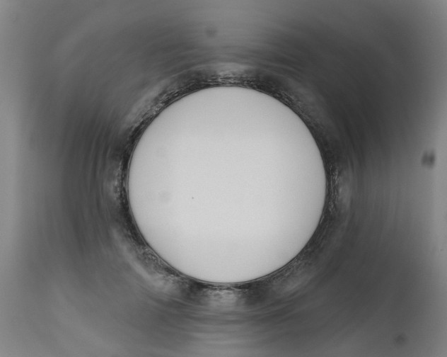 X0000112500698200909071245