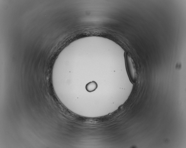 X0000112500701200909071245