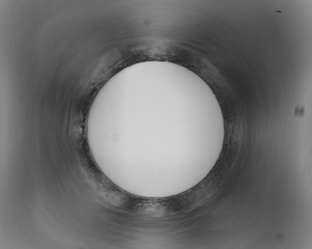 X0000112500702200909071245