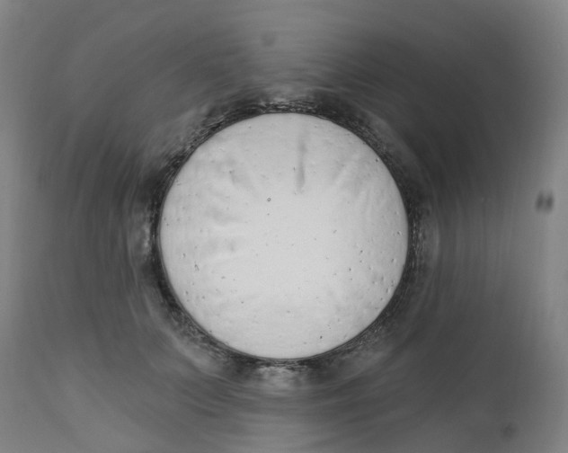 X0000112500703200909071245