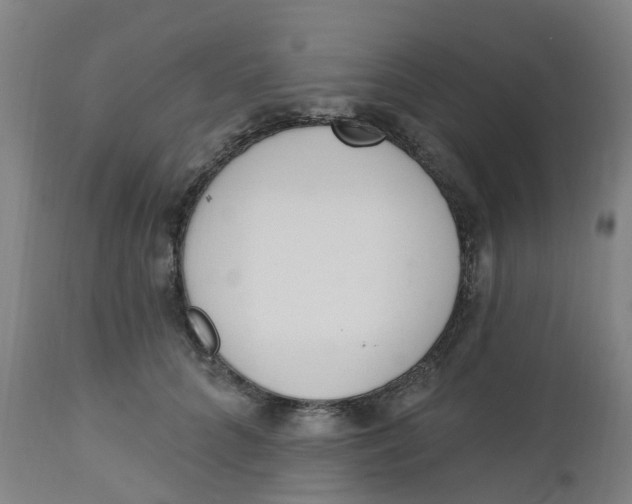 X0000112500704200909071245