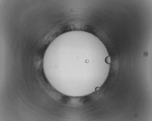 X0000112500709200909071245