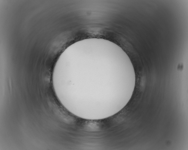 X0000112500710200909071245