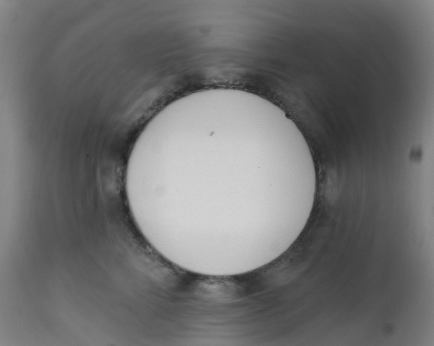 X0000112500712200909071245