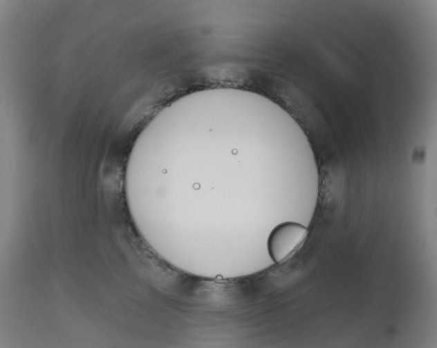 X0000112500713200909071245