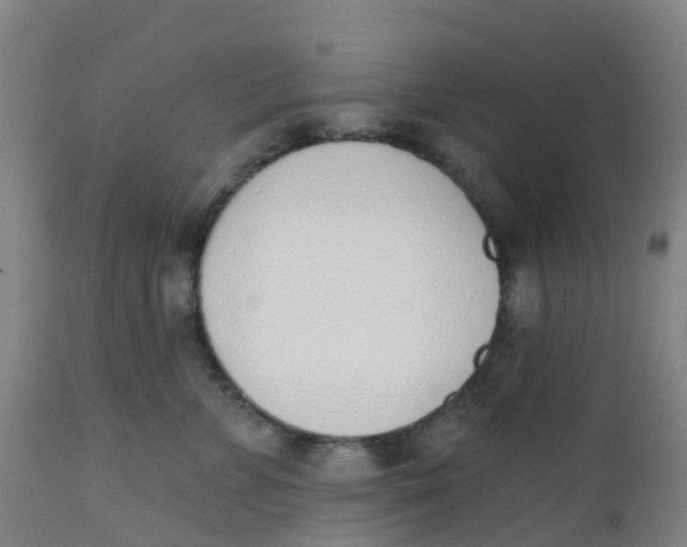 X0000112500715200909071245