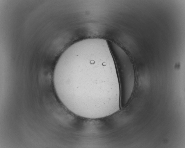 X0000112500716200909071245