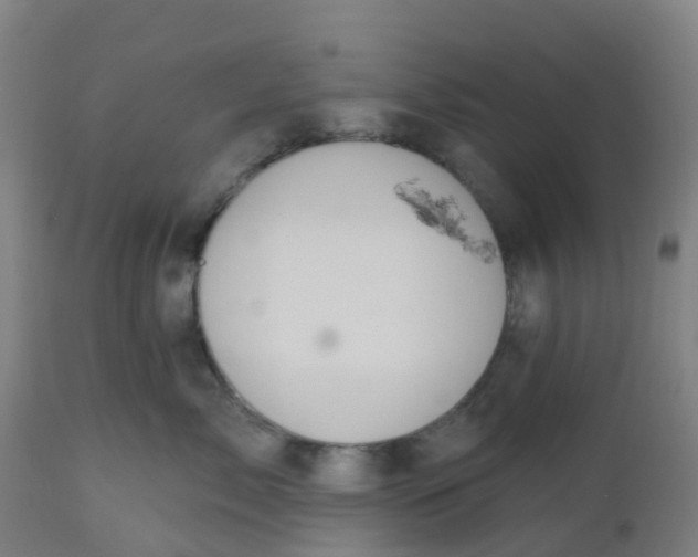 X0000112500717200909071245