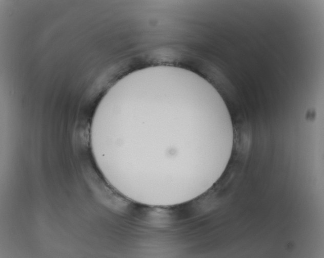 X0000112500718200909071245