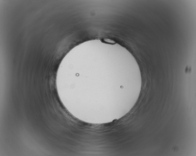 X0000112500720200909071245