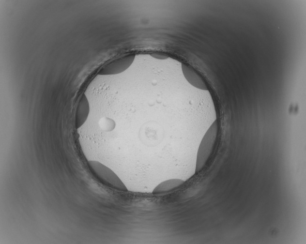 X0000112500721200909071244