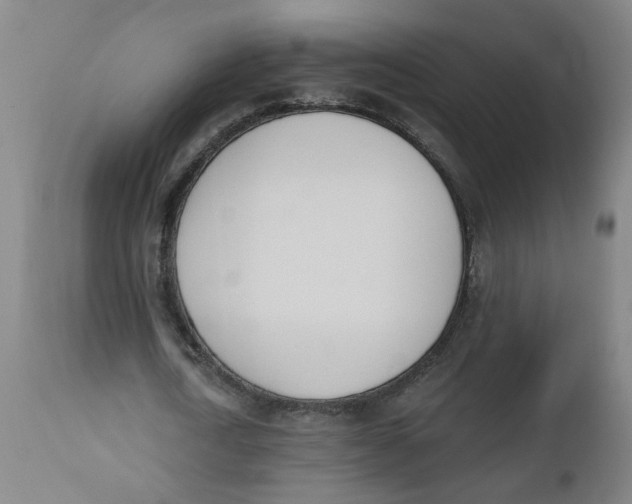 X0000112500722200909071244