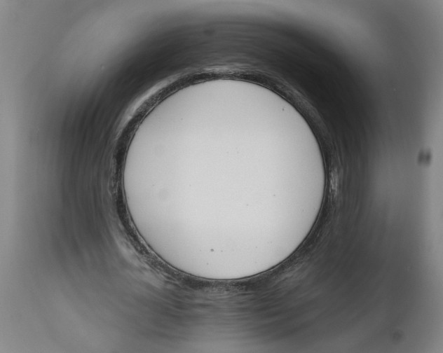 X0000112500724200909071244