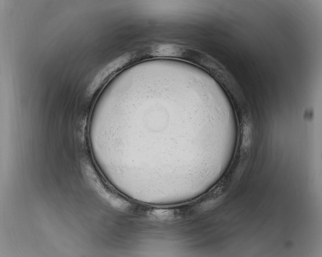 X0000112500729200909071244