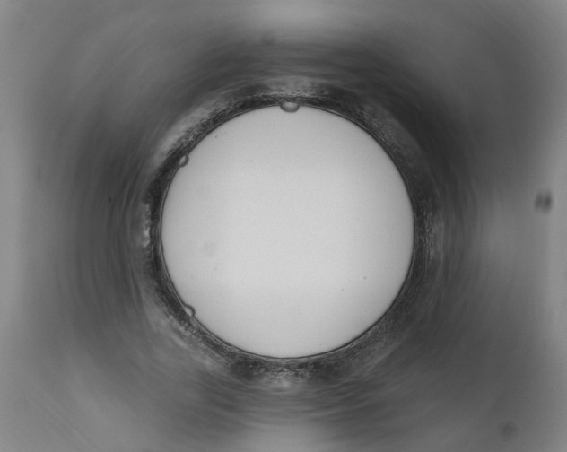 X0000112500731200909071244