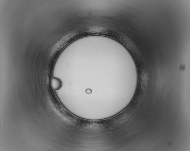 X0000112500734200909071244