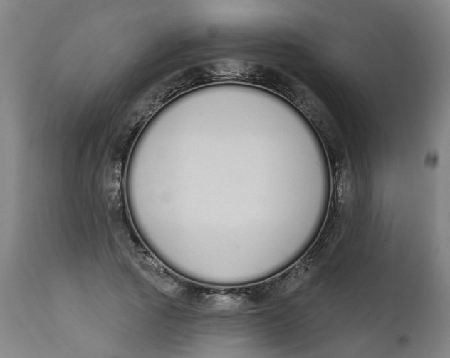 X0000112500737200909071244