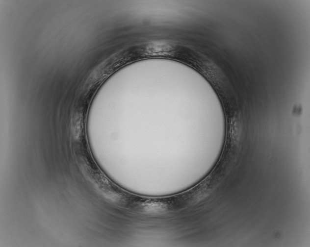 X0000112500741200909071245