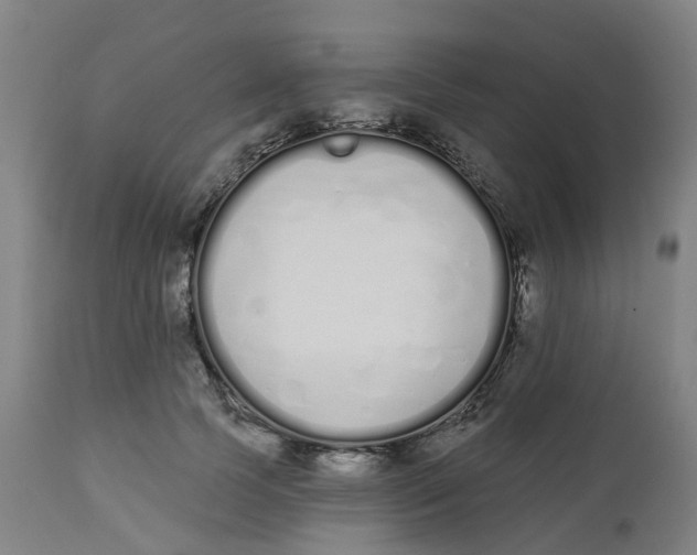 X0000112500745200909071245