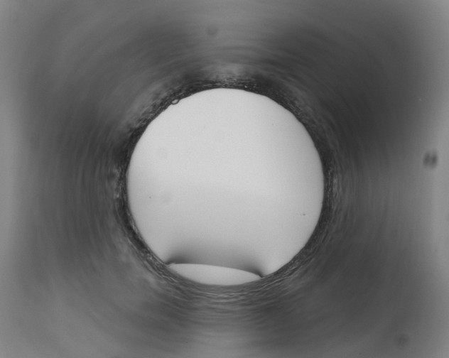 X0000112500750200909071245