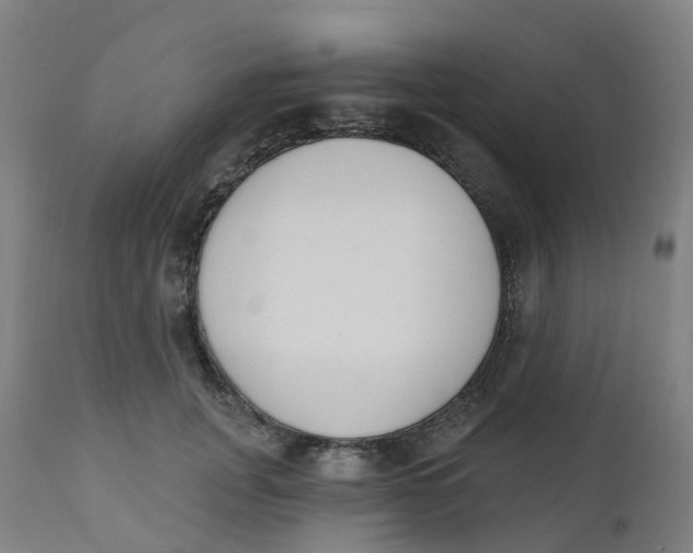 X0000112500751200909071245