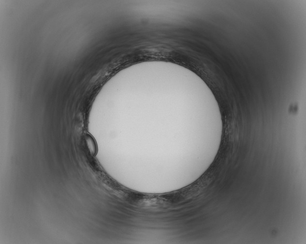 X0000112500752200909071245