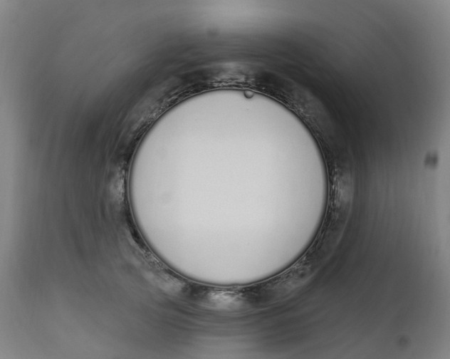 X0000112500753200909071245