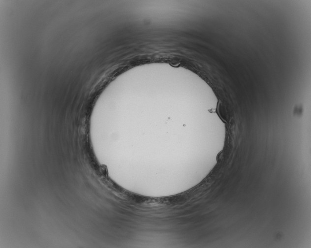 X0000112500756200909071245