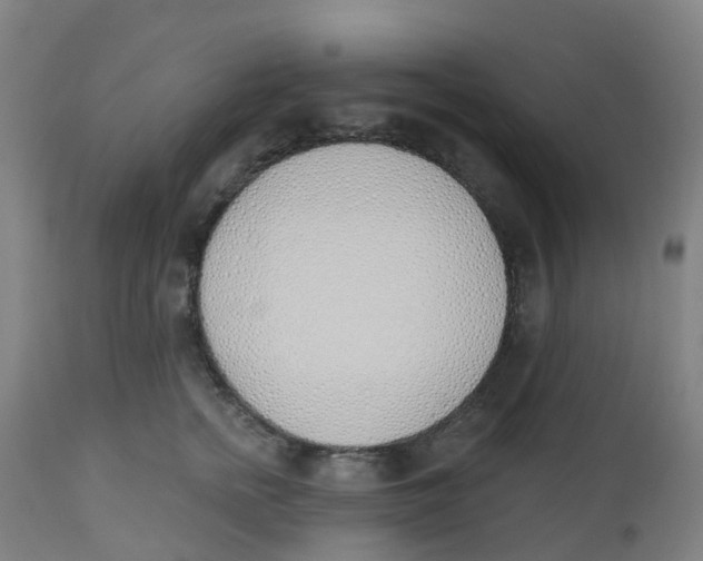 X0000112500758200909071245