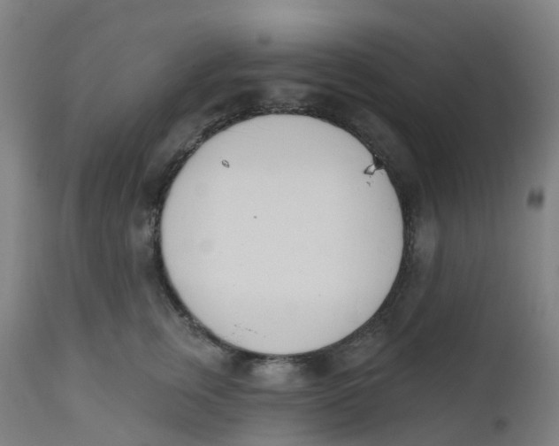 X0000112500759200909071245