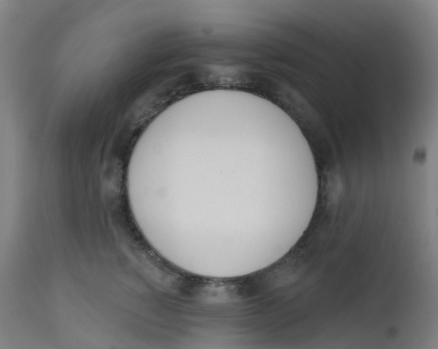 X0000112500760200909071245