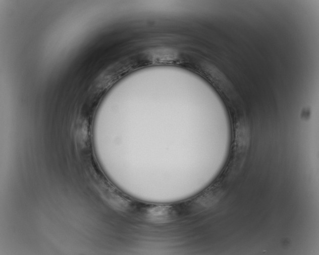 X0000112500761200909071245