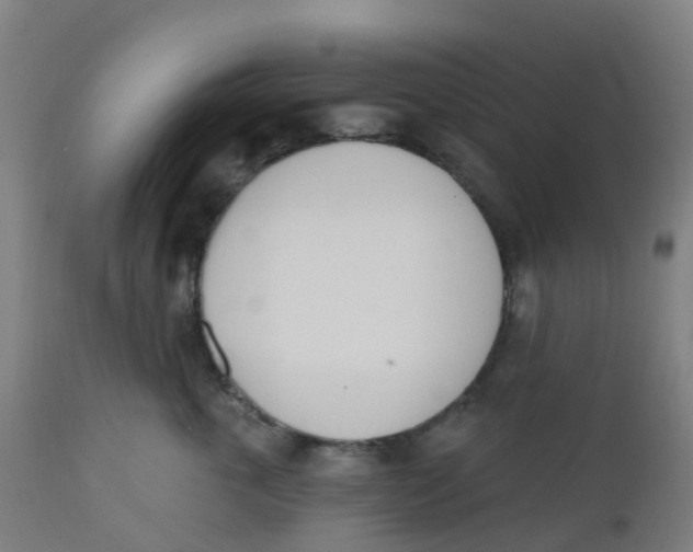 X0000112500763200909071245