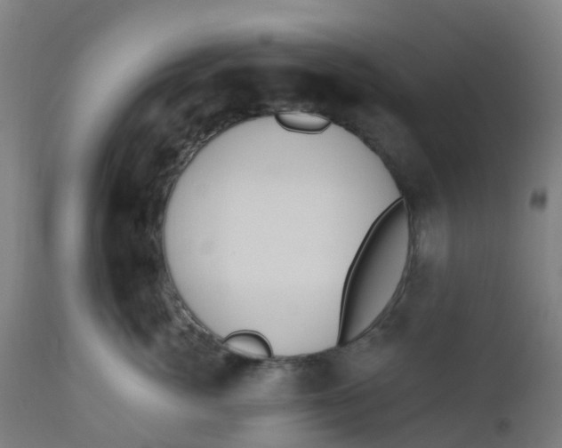 X0000112500764200909071245