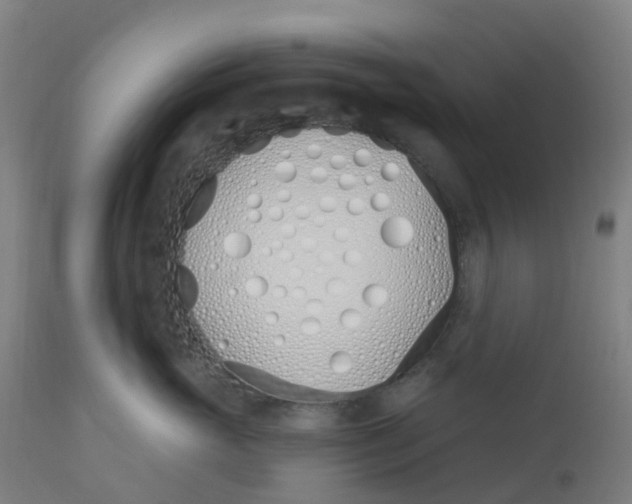 X0000112500765200909071245