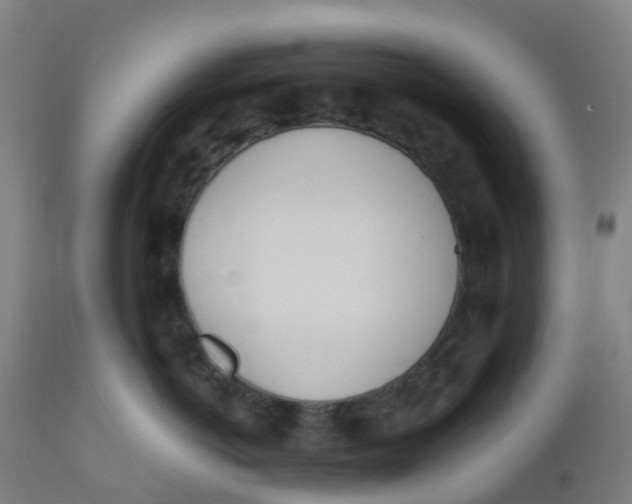 X0000112500766200909071245