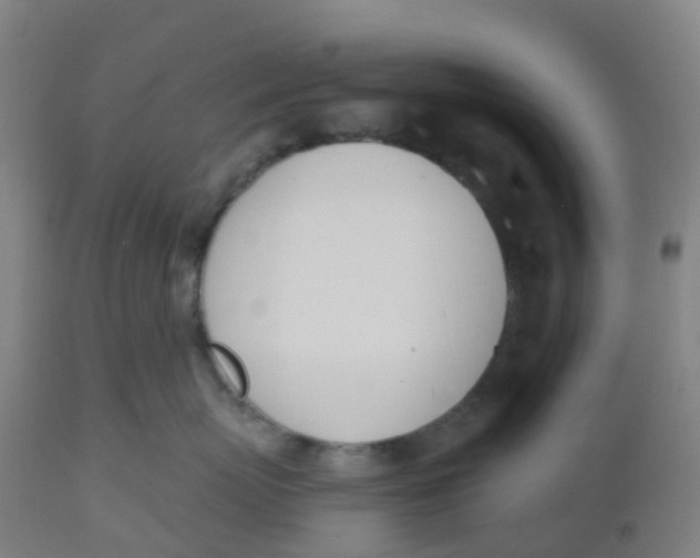 X0000112500767200909071245