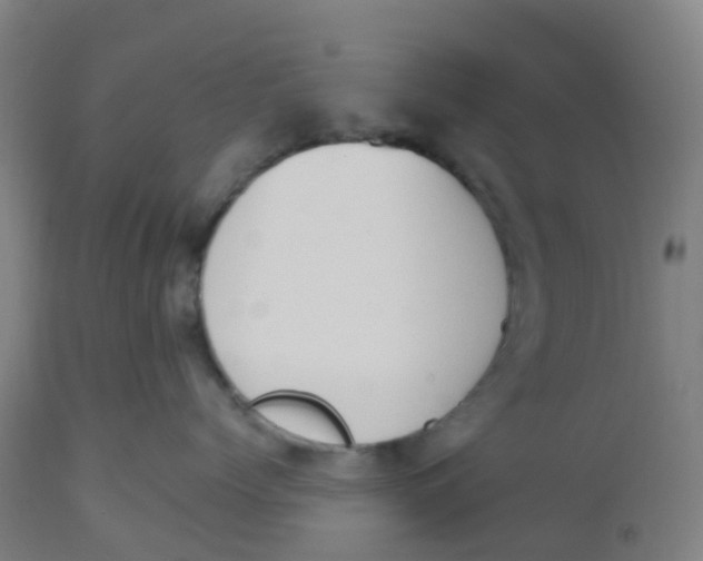 X0000112500768200909071245