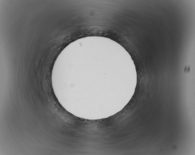 X0000112500769200909071244