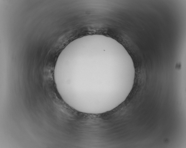 X0000112500770200909071244