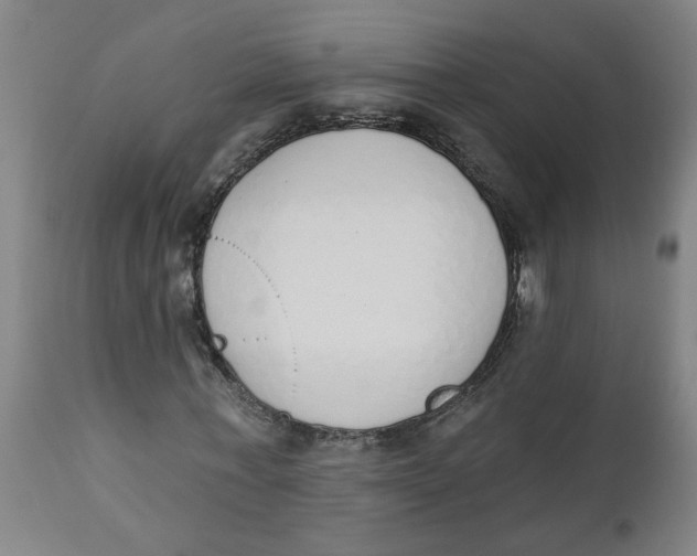 X0000112500771200909071244