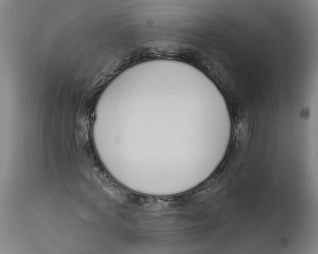 X0000112500772200909071244