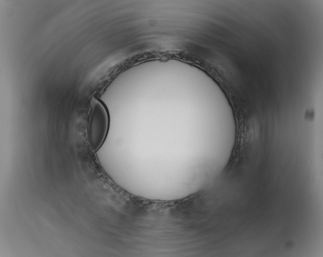 X0000112500773200909071244